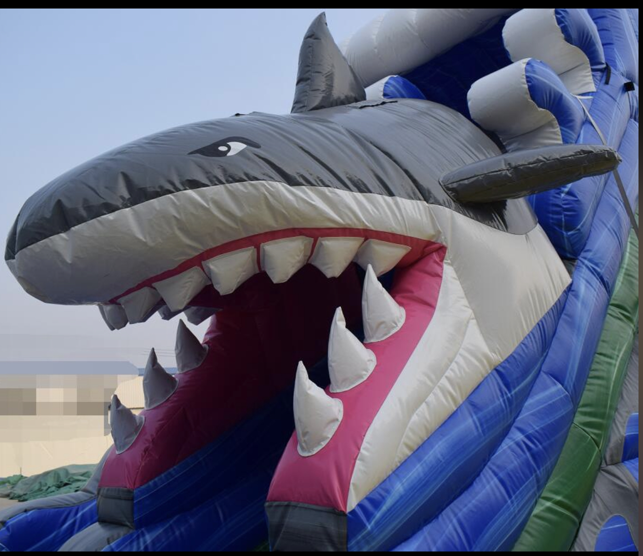 Toboggan aquatique Requin Midiloisirs