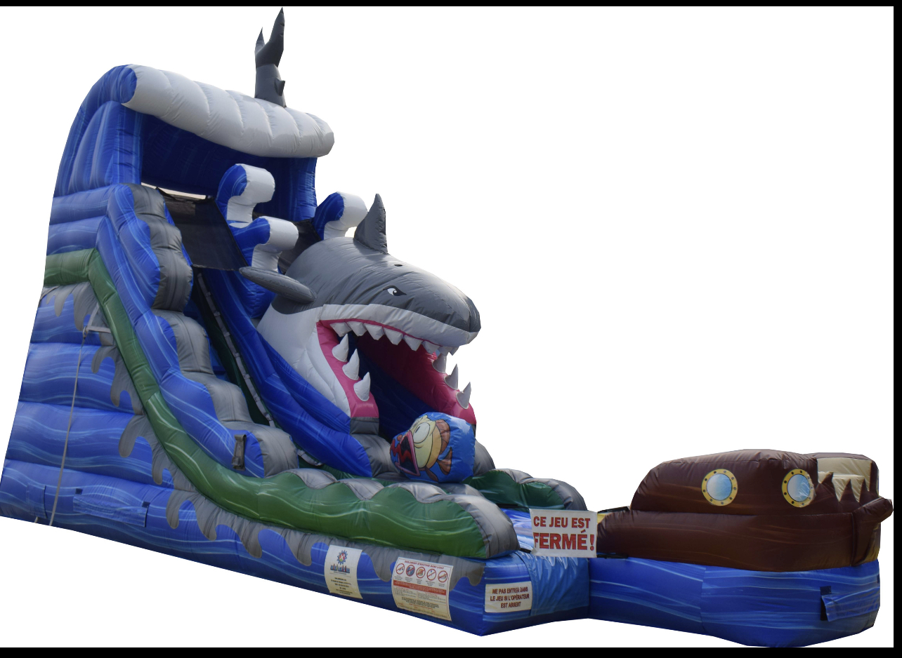 Toboggan aquatique Requin Midiloisirs