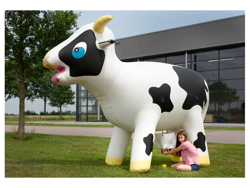 La vache à traire