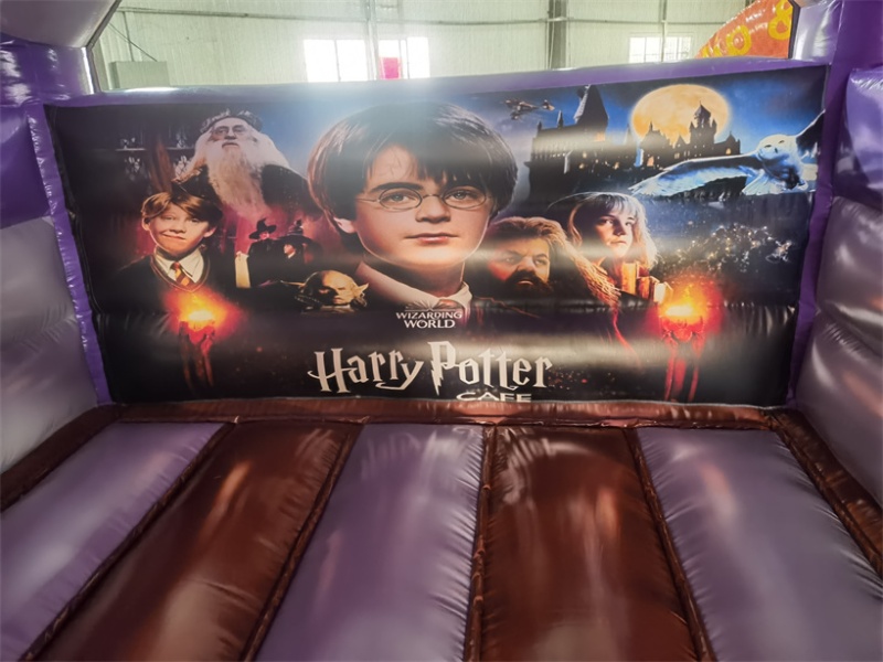 COMBO HARRY POTTER - 1