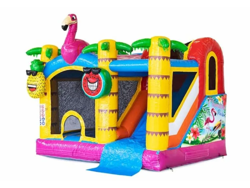 COMBO FLAMAND ROSE - 2